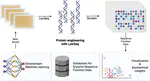 LevSeq: Rapid Generation of Sequence-Function Data for Directed Evolution and Machine Learning