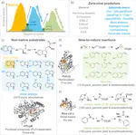 Substrate-Aware Zero-Shot Predictors for Non-Native Enzyme Activities